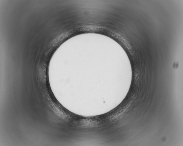 X0000096200633200802151526