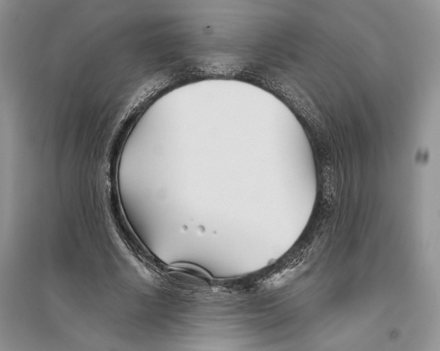 X0000096200634200802151526