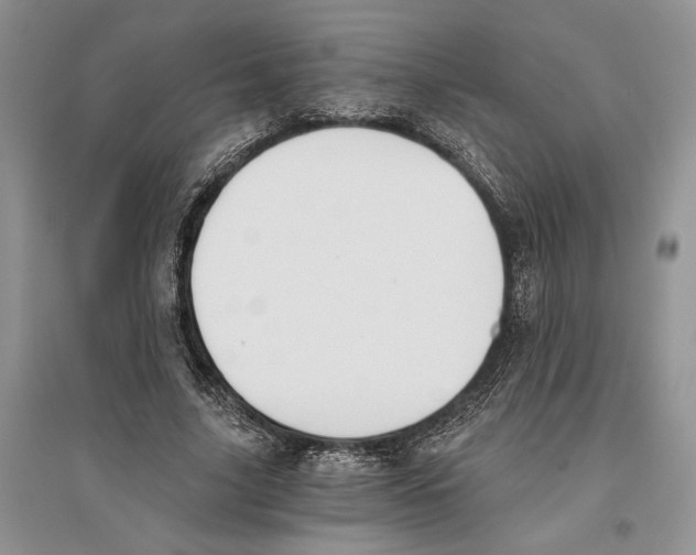 X0000096200635200802151526