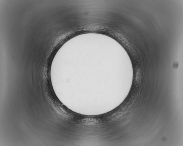 X0000096200636200802151526