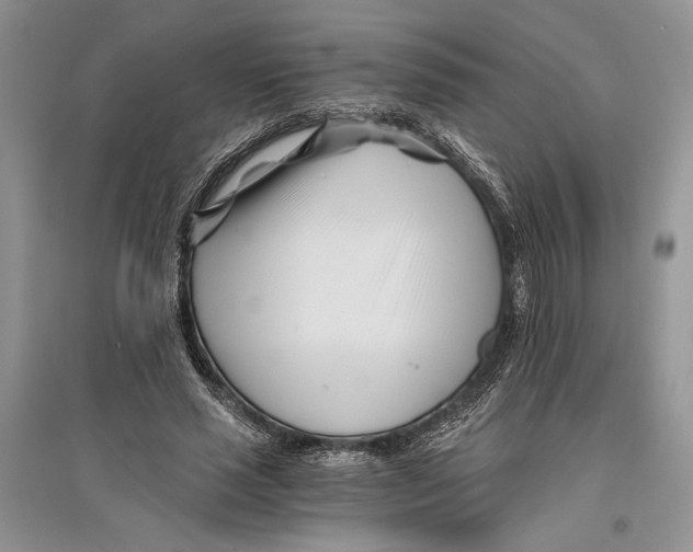 X0000096200637200802151526