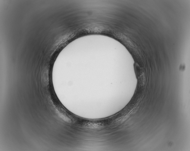 X0000096200638200802151526