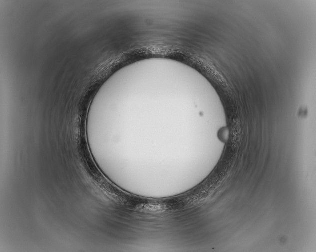 X0000096200639200802151526