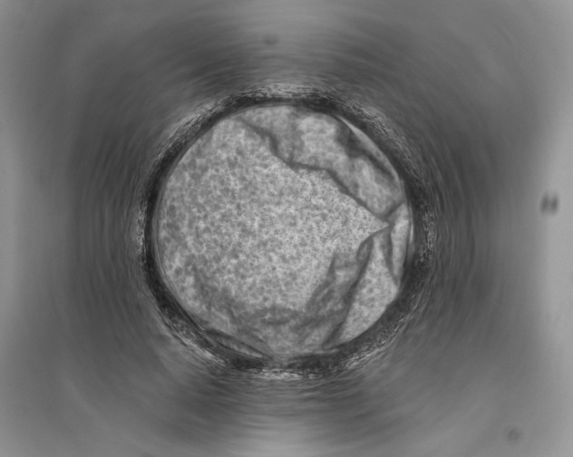 X0000096200640200802151526