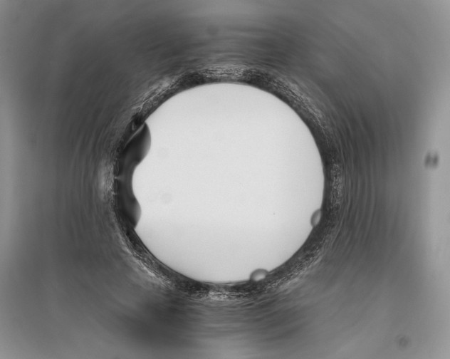 X0000096200641200802151526