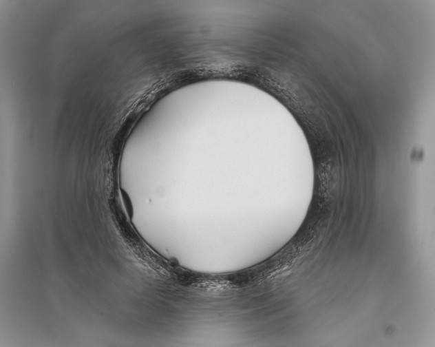 X0000096200642200802151526