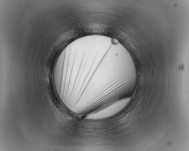 X0000096200643200802151526