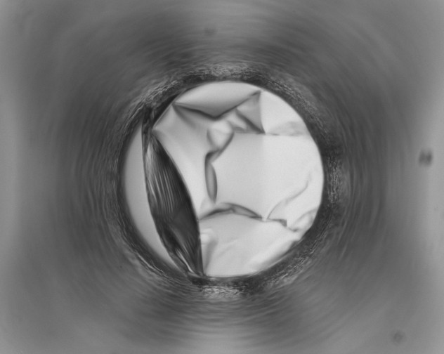 X0000096200644200802151526