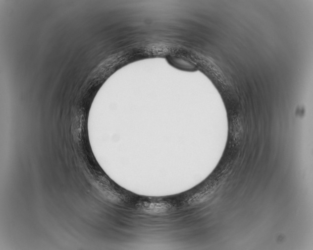 X0000096200645200802151526