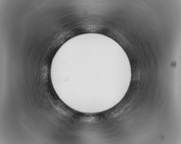 X0000096200646200802151527