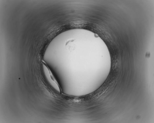 X0000096200647200802151527