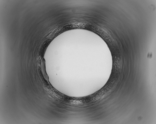 X0000096200649200802151527