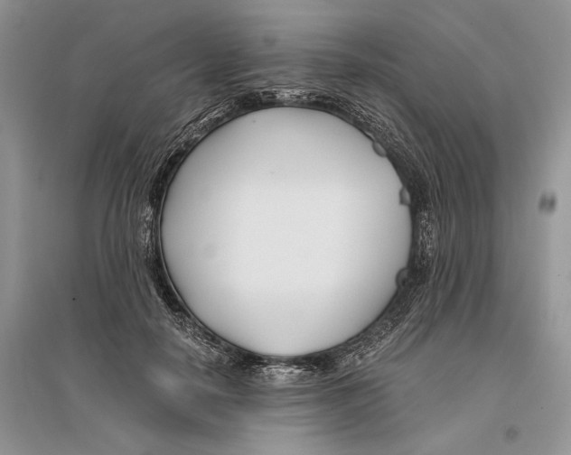 X0000096200650200802151527