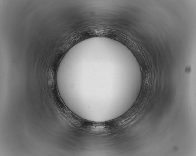 X0000096200651200802151527