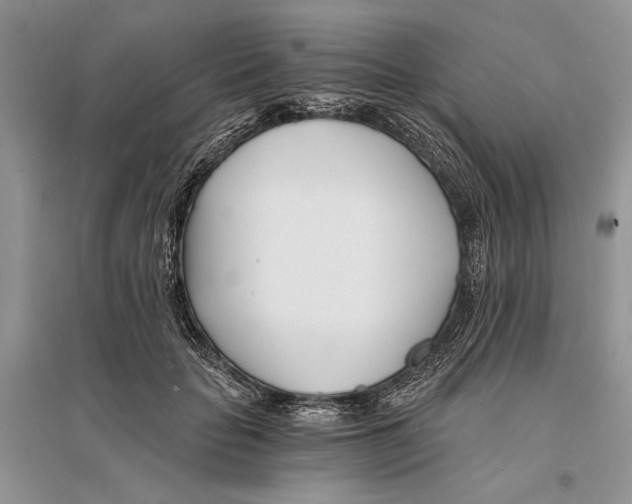 X0000096200653200802151527