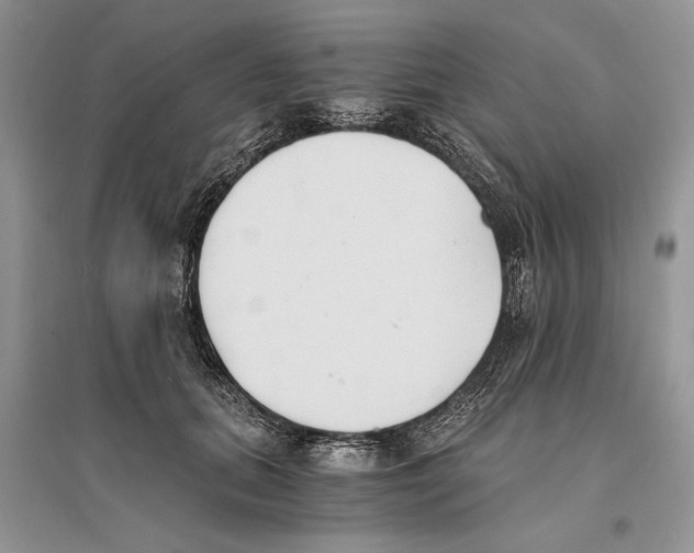 X0000096200655200802151527