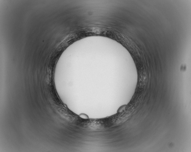 X0000096200656200802151527