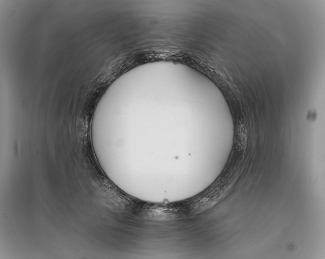 X0000096200657200802151527