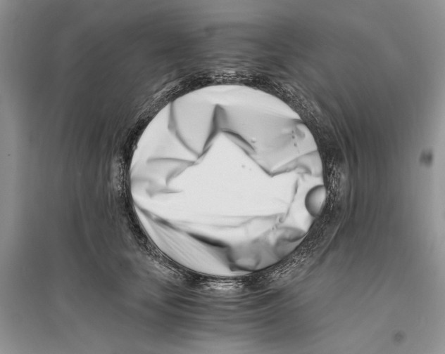 X0000096200659200802151527