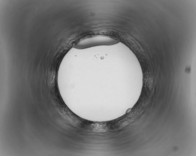 X0000096200660200802151527