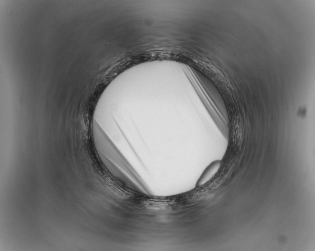 X0000096200661200802151527