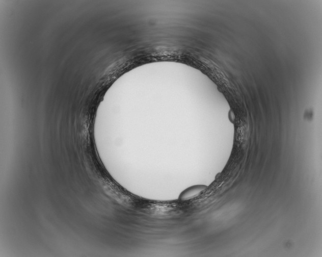 X0000096200662200802151527