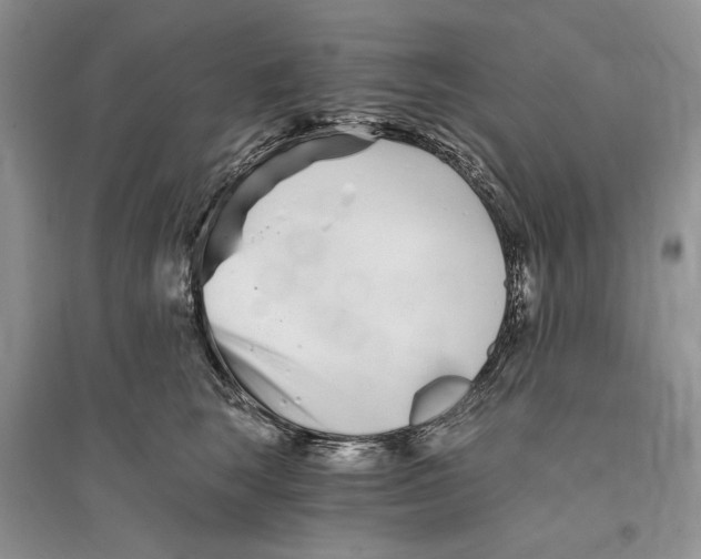 X0000096200663200802151527