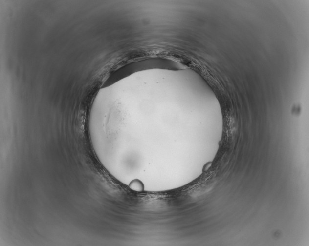 X0000096200664200802151527