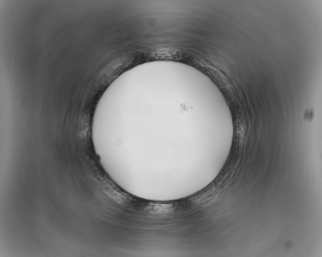 X0000096200665200802151527