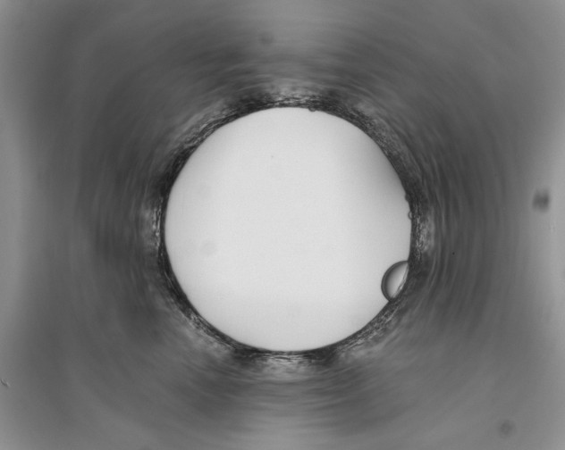 X0000096200666200802151527