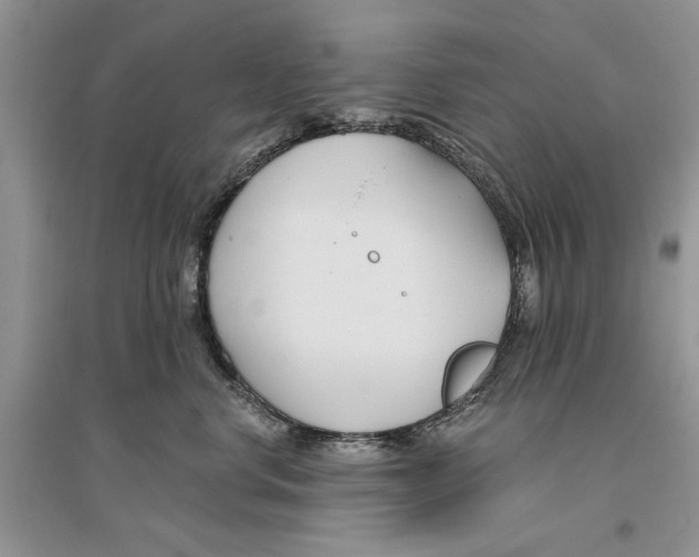 X0000096200668200802151527