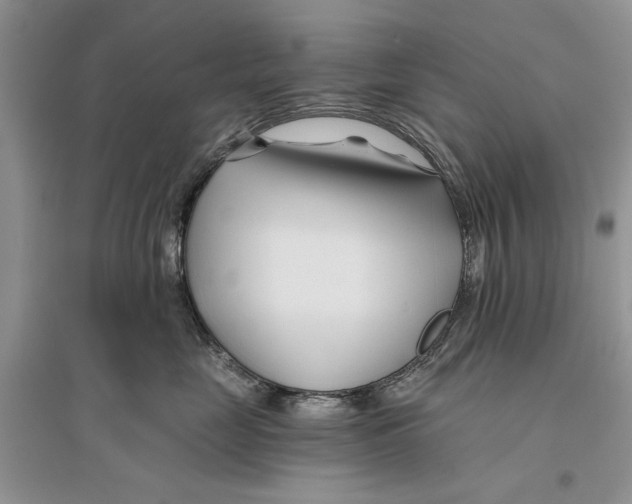 X0000096200669200802151527