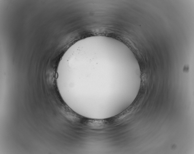 X0000096200671200802151527