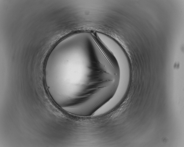 X0000096200673200802151526