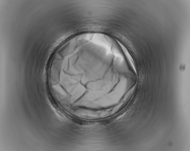 X0000096200674200802151526