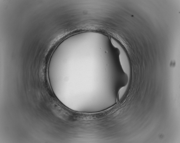 X0000096200675200802151526