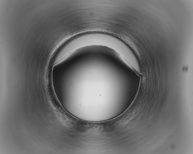 X0000096200676200802151526