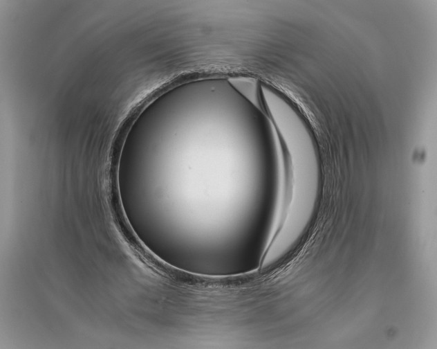 X0000096200677200802151526