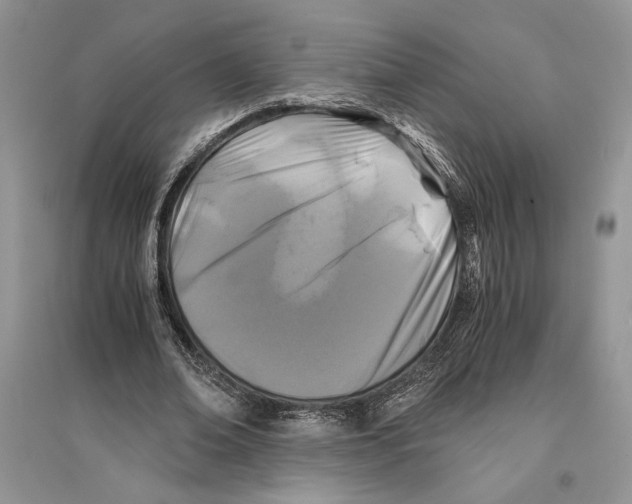 X0000096200678200802151526