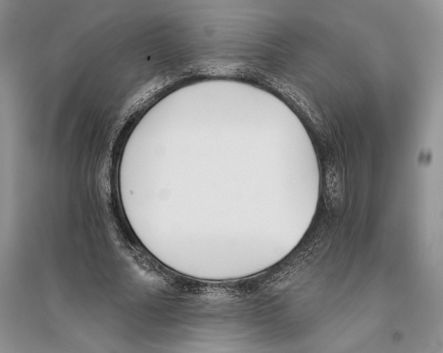 X0000096200682200802151526