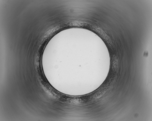 X0000096200683200802151526