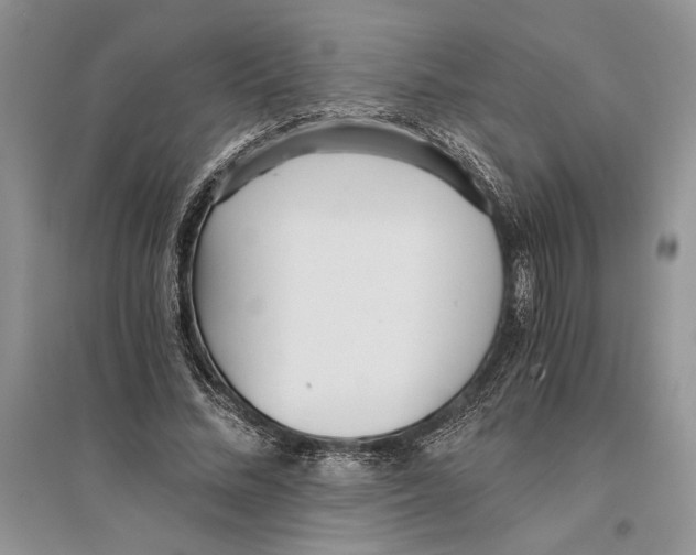 X0000096200684200802151526