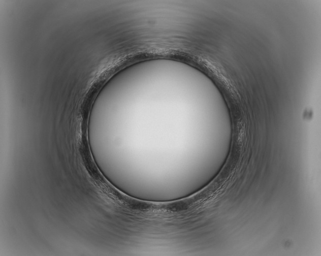 X0000096200685200802151526