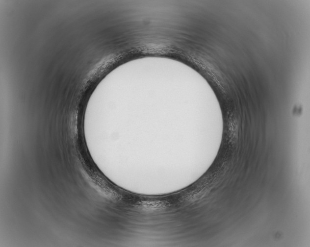 X0000096200686200802151526