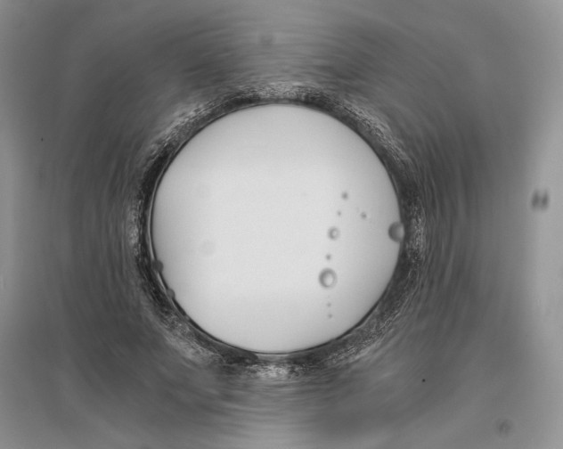 X0000096200687200802151526