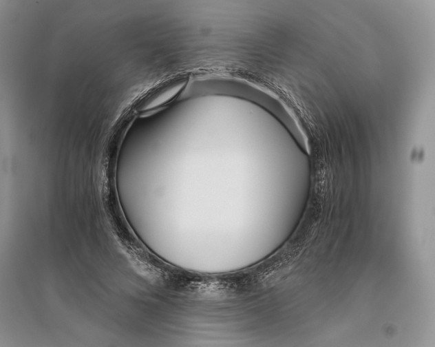 X0000096200688200802151526