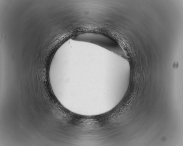 X0000096200689200802151526