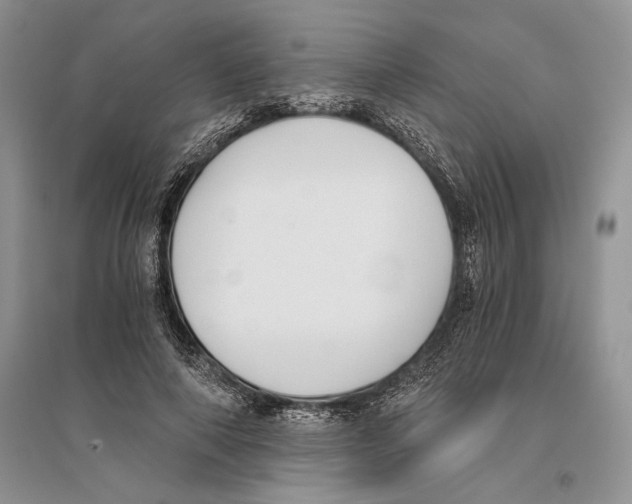 X0000096200690200802151526