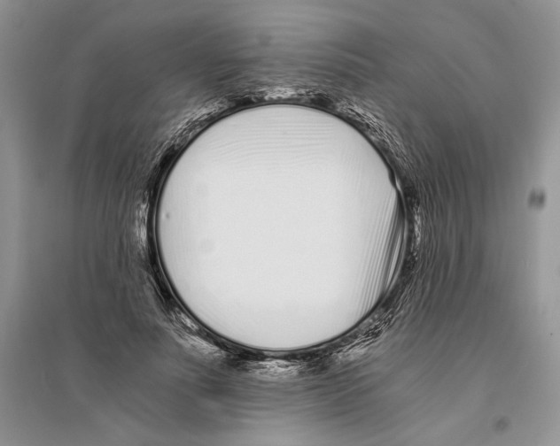 X0000096200691200802151526