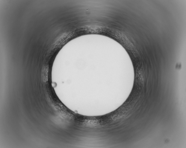 X0000096200694200802151526